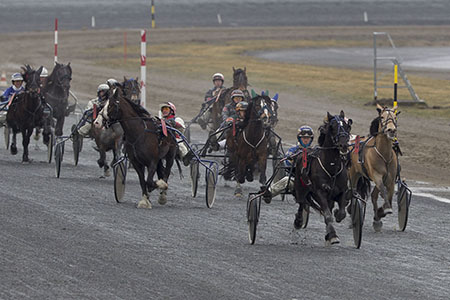 Gunnar Austevoll og Perle Faks galopperer