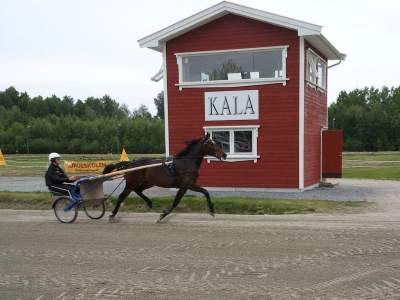 Bilderesultat for kala travpark 