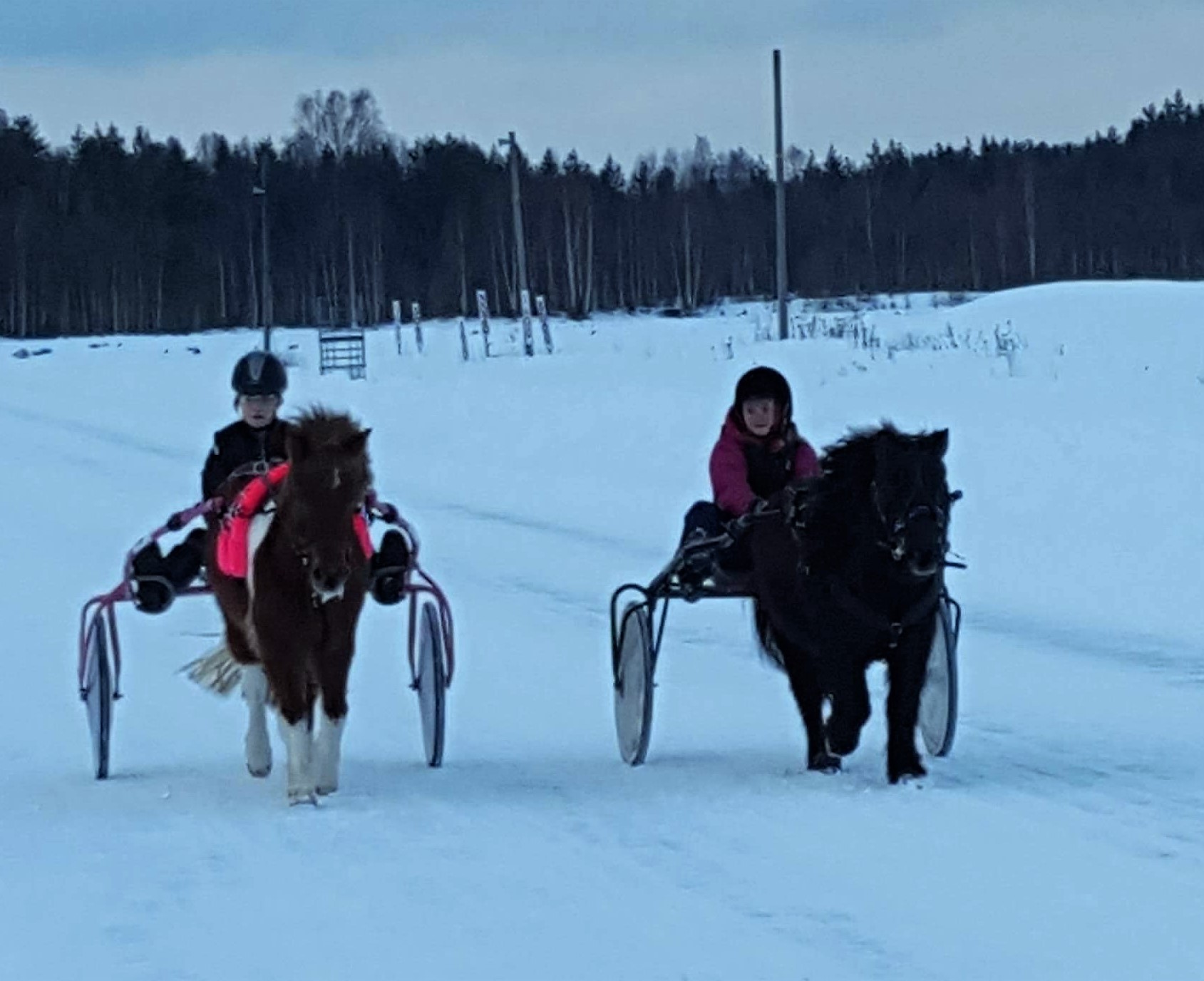 Mina og Daniela