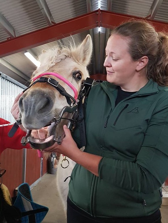 veterinær om tannpleie