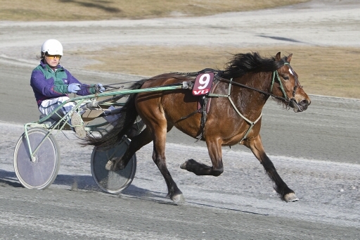 Heggjenta og Stein Isak Borstad