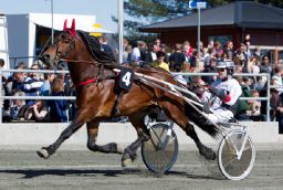 Gylden Balder/Kai Johansen
