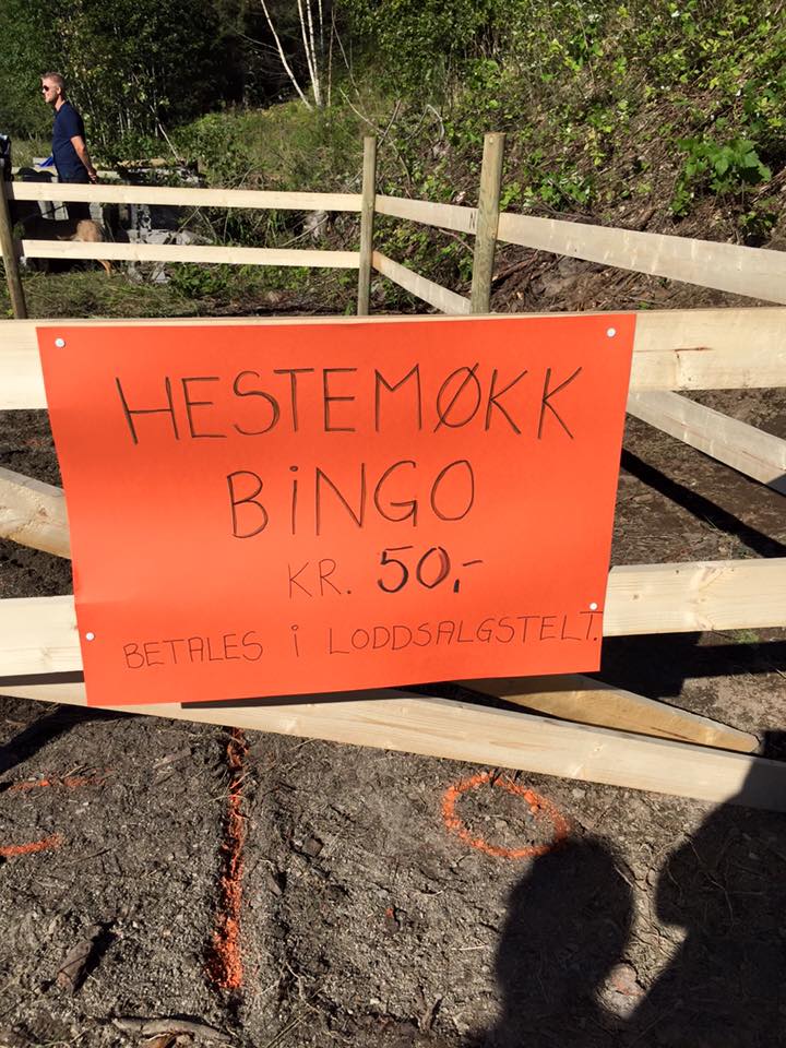 Hestemøkkbingo var populært