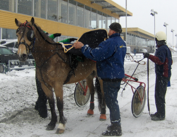 Horgen Ylva vinner av Kran og Transport Skien's Løp