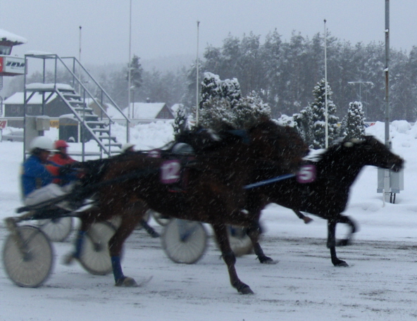 Speedy Martina vinner XL-Bygg Gisholt og Finne's løp