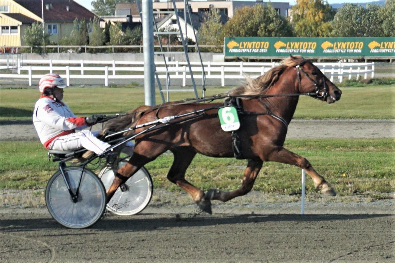 Vestpol Lodin 29.10.21