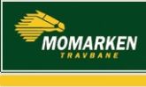 Travbane logo