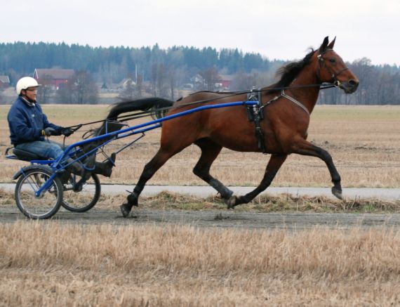 Artikkelbilde