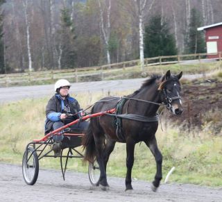Artikkelbilde