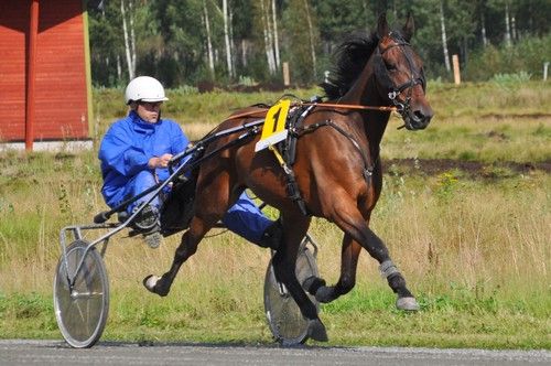 Artikkelbilde