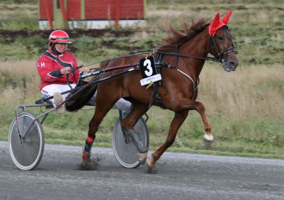 Artikkelbilde