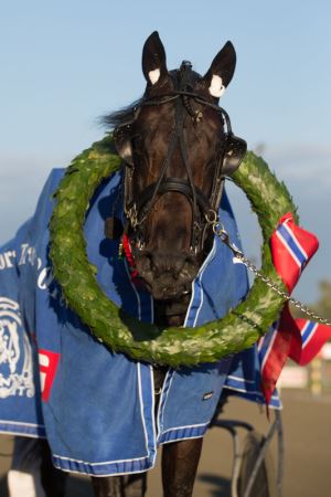 Artikkelbilde
