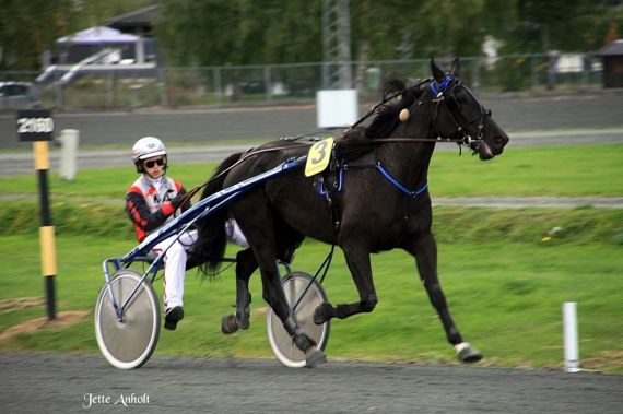 Artikkelbilde