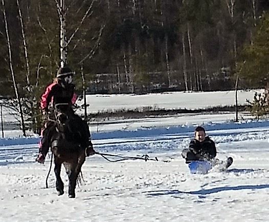 Artikkelbilde