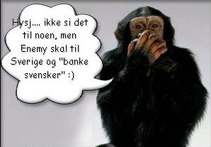Artikkelbilde