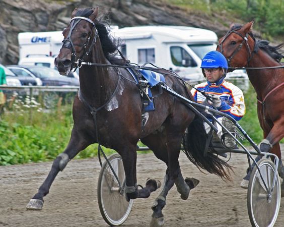 Artikkelbilde