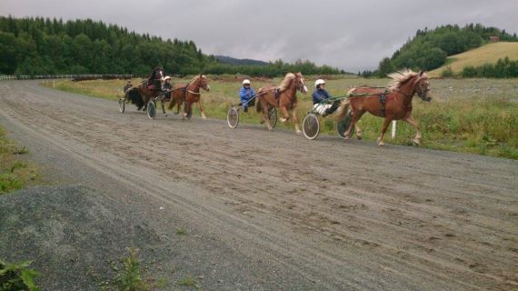 Artikkelbilde