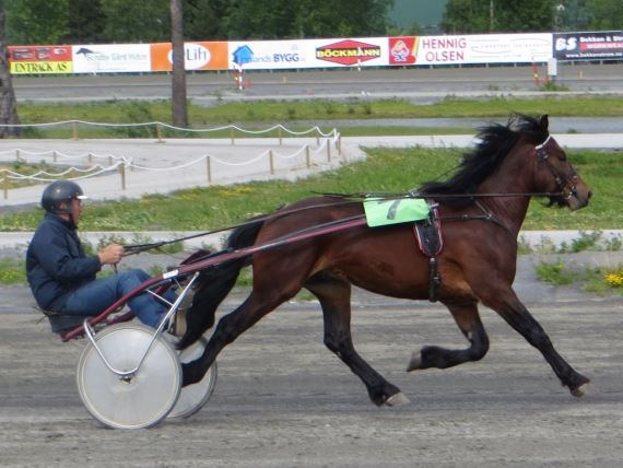 Artikkelbilde