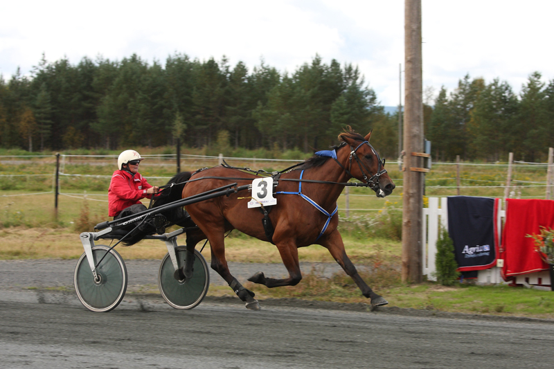 Seier i 5. løp