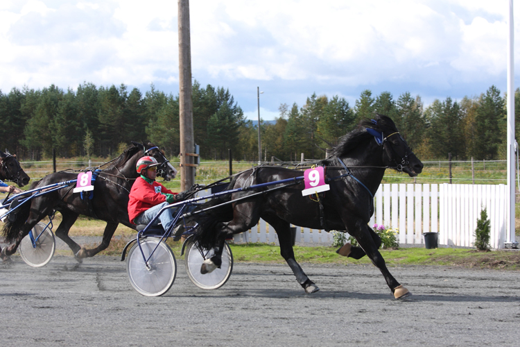 Seier i 8. løp